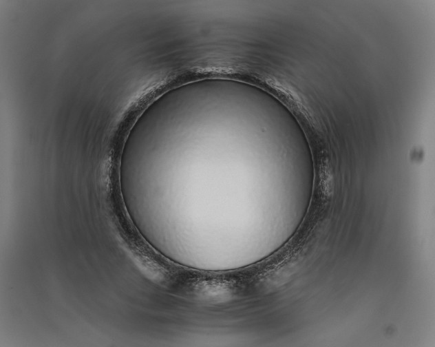 X0000091100735200708201519