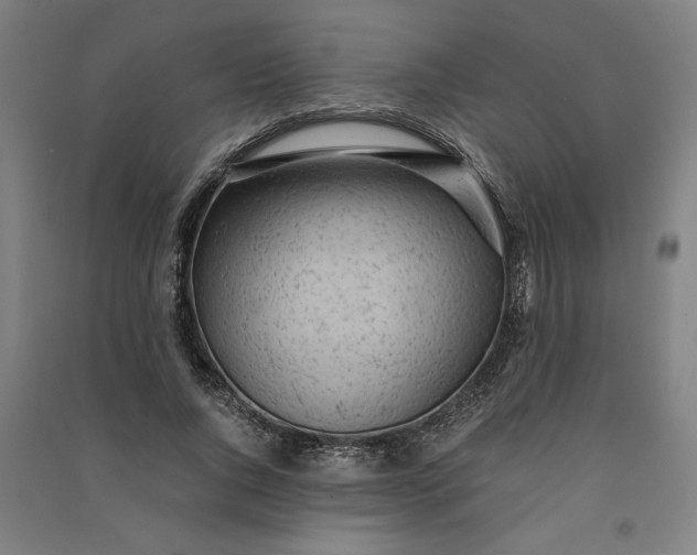 X0000091100736200708201519