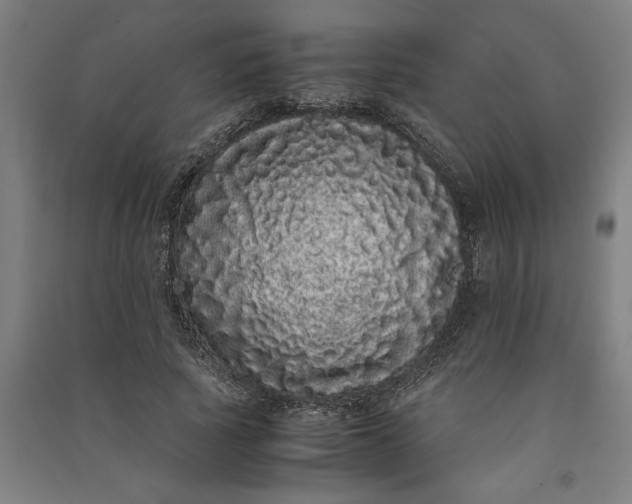 X0000091100737200708201519