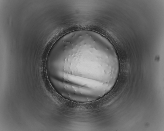 X0000091100738200708201519