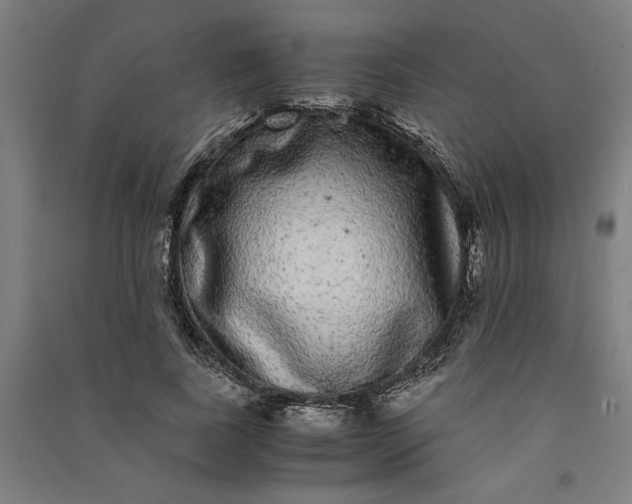 X0000091100739200708201520