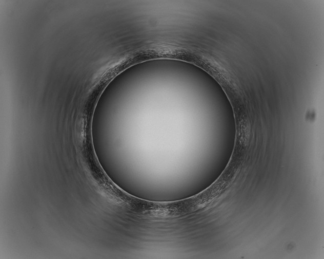 X0000091100740200708201520