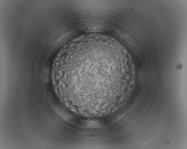 X0000091100741200708201520