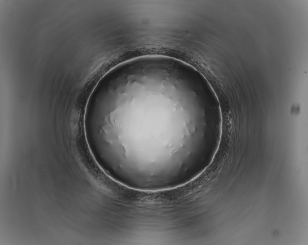 X0000091100742200708201520