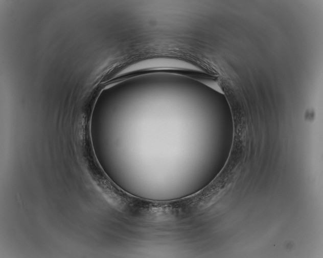 X0000091100744200708201520