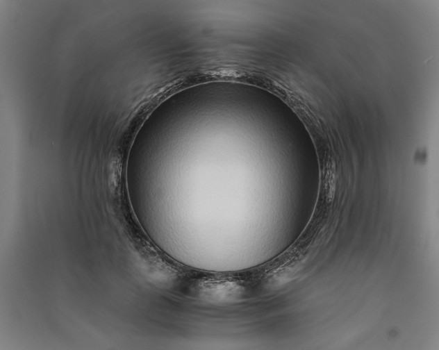 X0000091100747200708201520