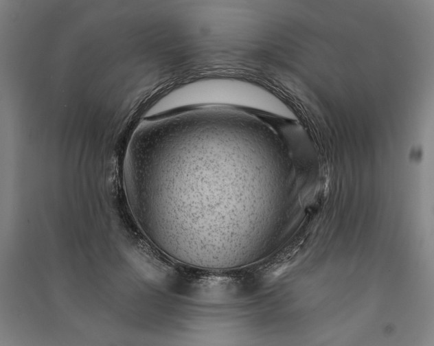 X0000091100748200708201520