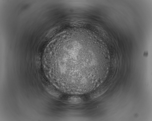 X0000091100749200708201520