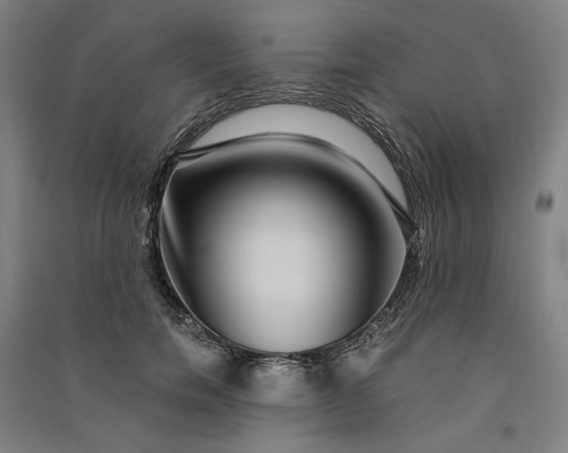 X0000091100750200708201520