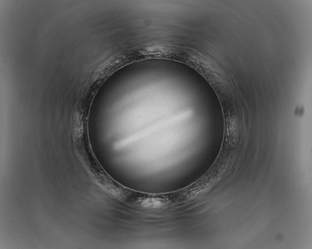 X0000091100751200708201520