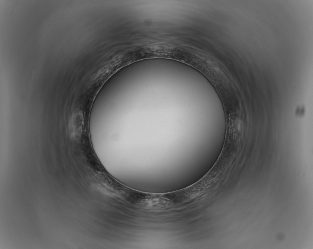 X0000091100752200708201520