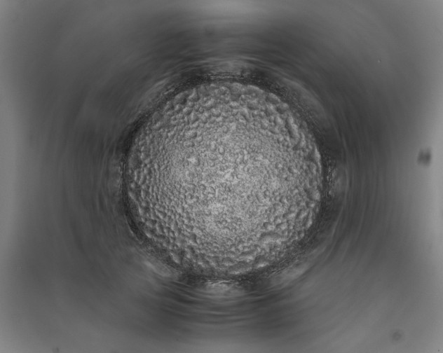 X0000091100753200708201520