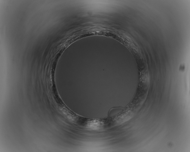 X0000091100754200708201520