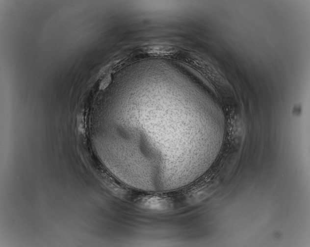 X0000091100755200708201520