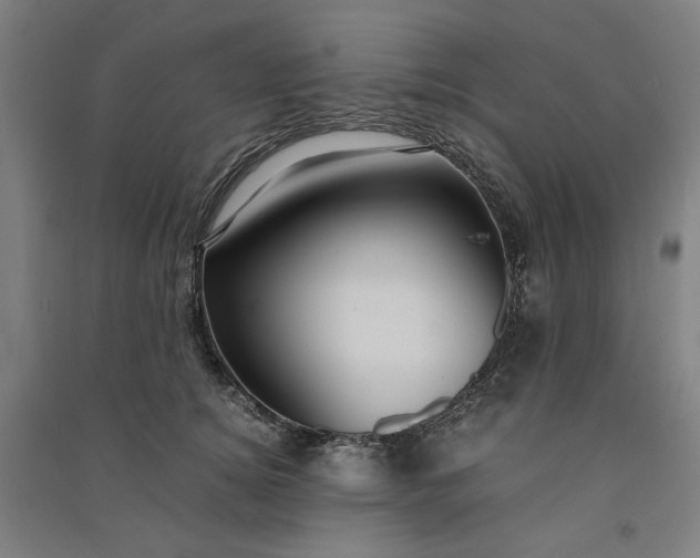 X0000091100756200708201520