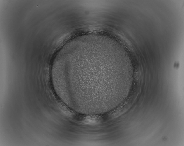 X0000091100757200708201520