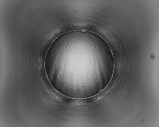 X0000091100758200708201520