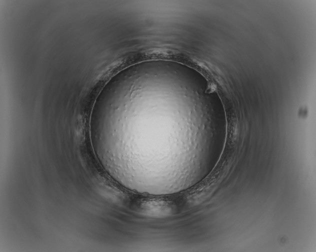 X0000091100759200708201520