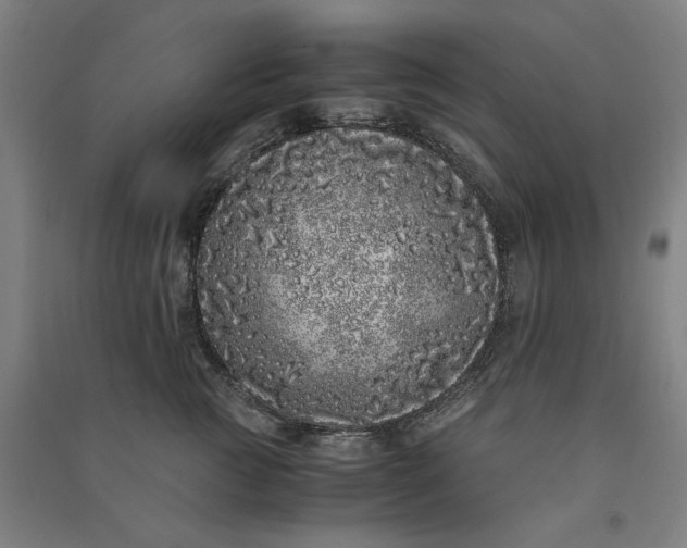 X0000091100761200708201520