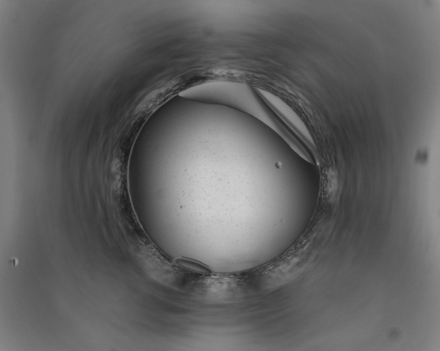 X0000091100762200708201520