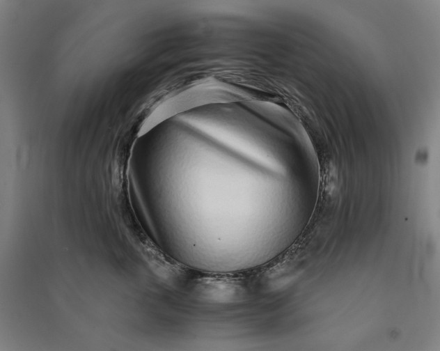 X0000091100763200708201520