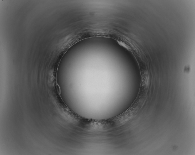 X0000091100764200708201520