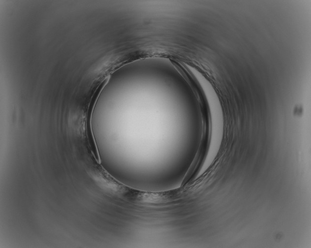 X0000091100766200708201520