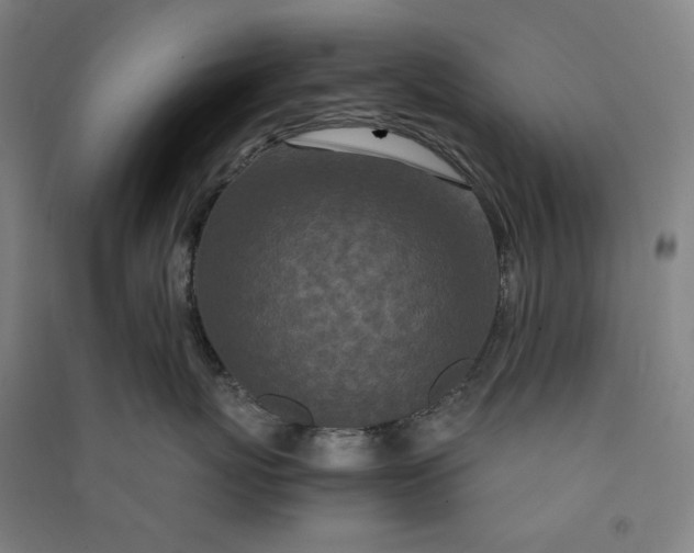 X0000091100767200708201520