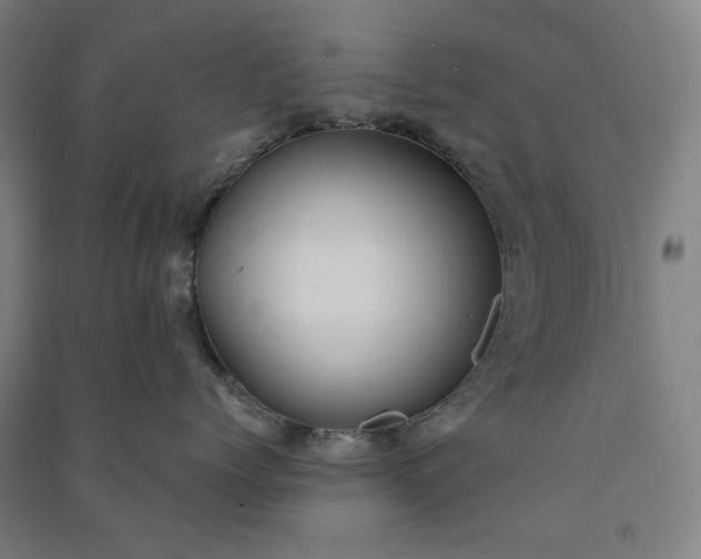 X0000091100768200708201520