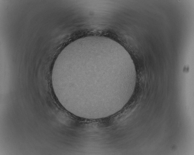 X0000091100769200708201519