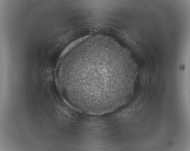 X0000091100770200708201519