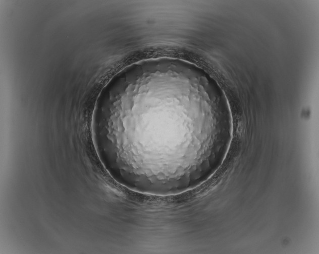 X0000091100771200708201519