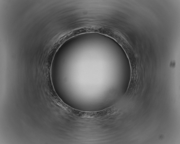 X0000091100773200708201519