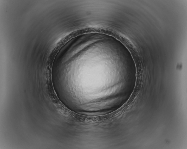 X0000091100776200708201519