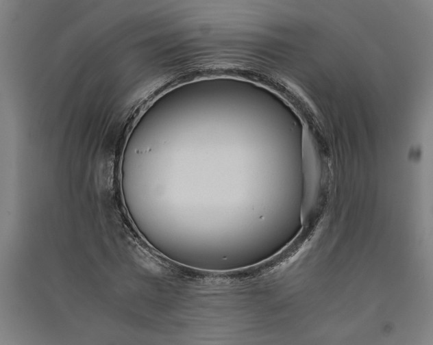 X0000091100777200708201519