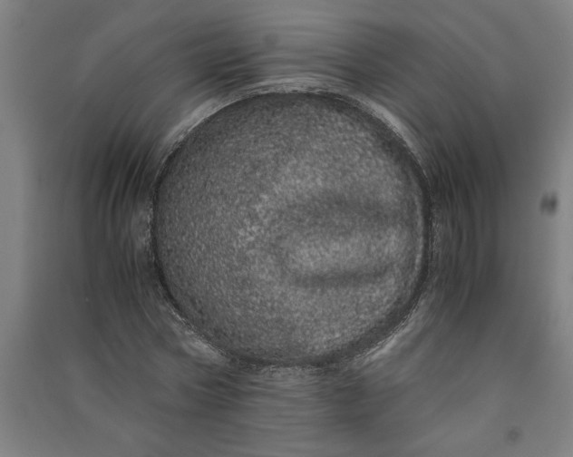 X0000091100778200708201519