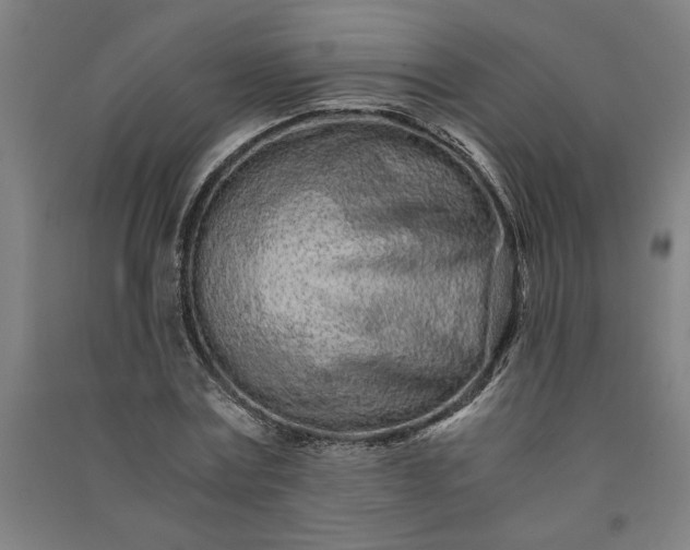 X0000091100779200708201519