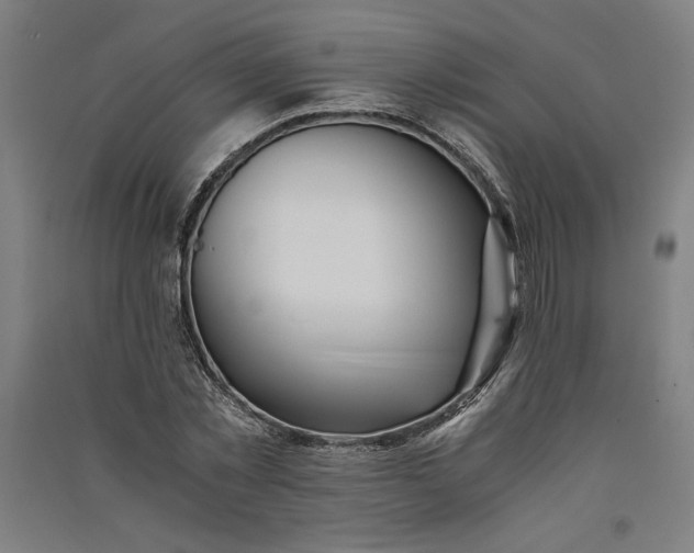 X0000091100781200708201519