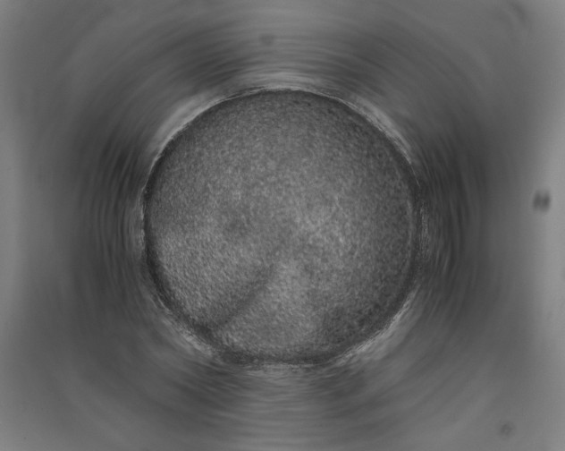 X0000091100782200708201519