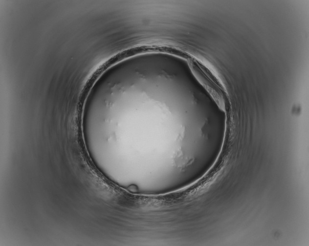 X0000091100783200708201519