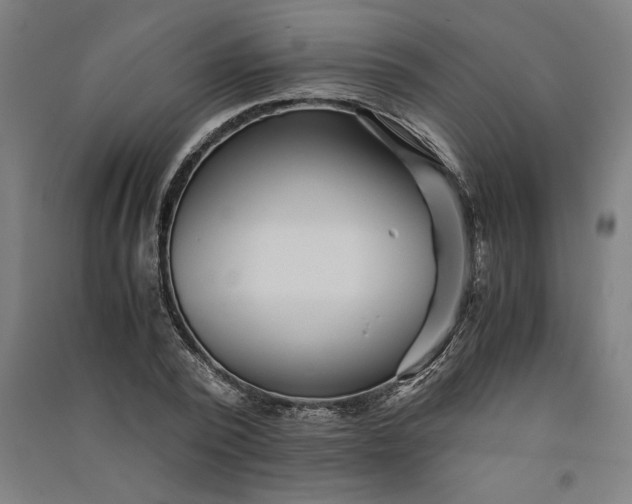 X0000091100784200708201519