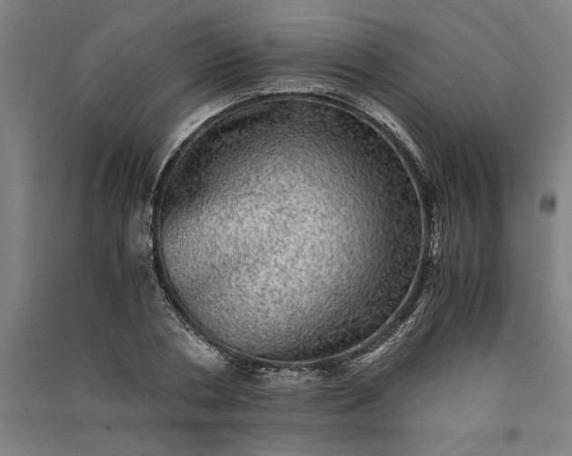 X0000091100786200708201519