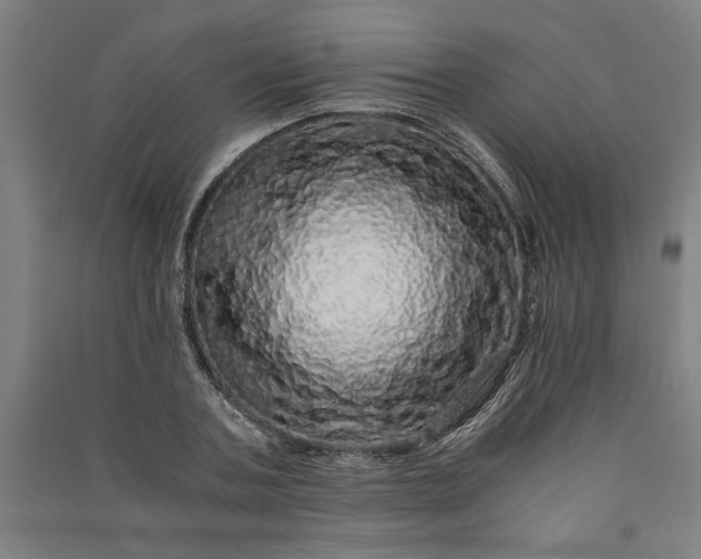 X0000091100787200708201519