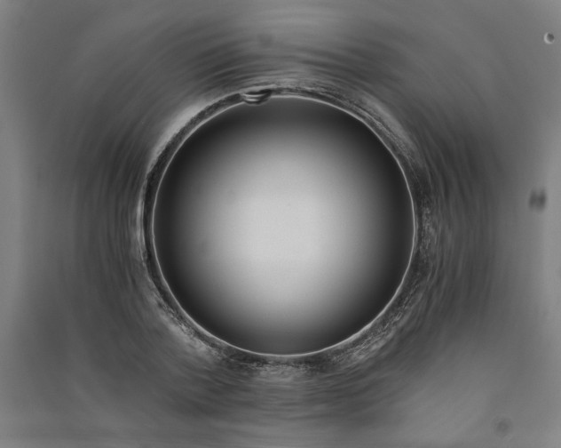 X0000091100788200708201519