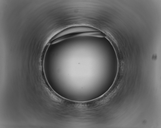 X0000091100789200708201519