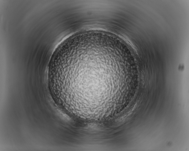 X0000091100790200708201519