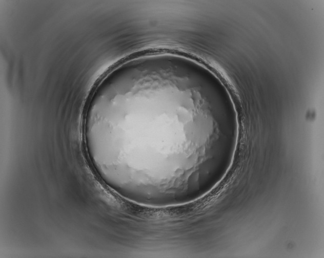 X0000091100791200708201519