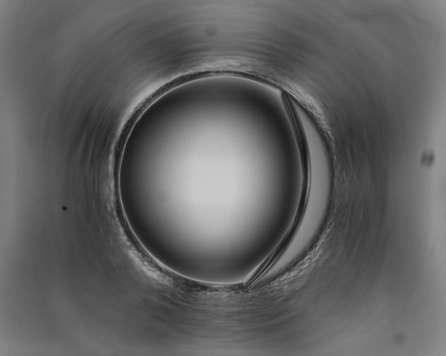 X0000091100792200708201519