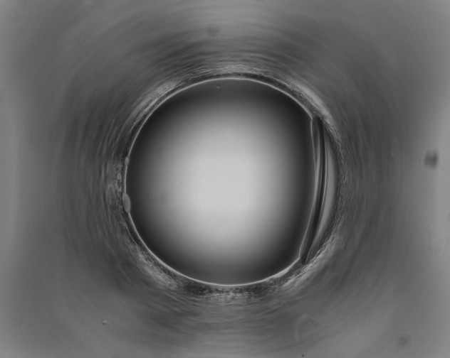 X0000091100793200708201519