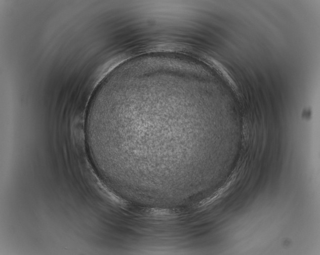 X0000091100794200708201519